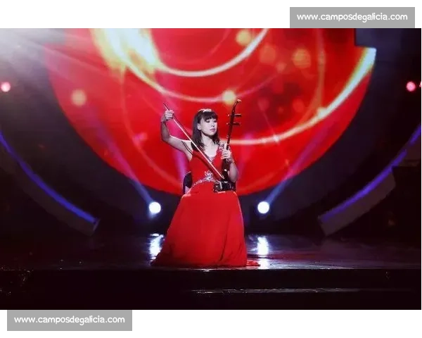 二胡全国比赛精彩纷呈 展现传统艺术魅力与新生代实力