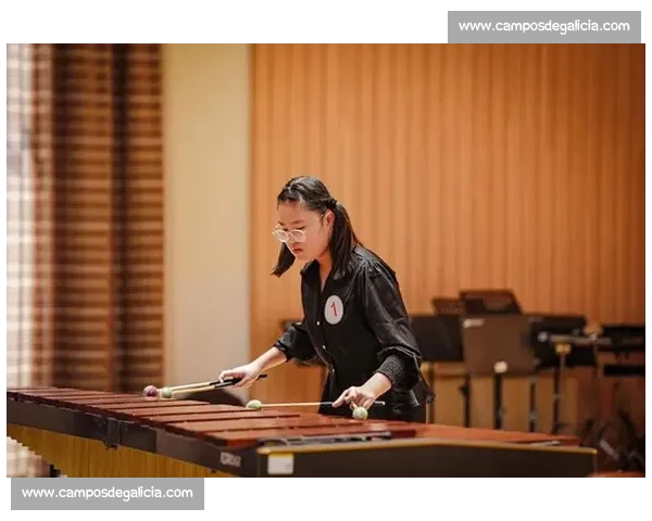 全国青少年打击乐大赛助力年轻音乐才俊崭露头角 展现激情与才华 全国青少年打击乐大赛助力年轻音乐才俊崭露头角 展现激情与才华