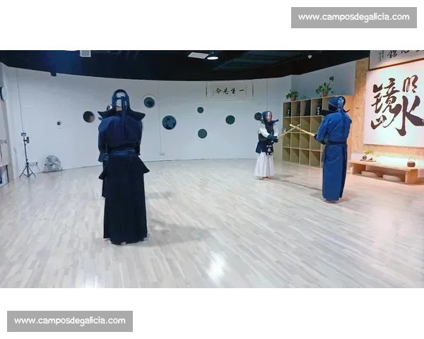 剑道比赛规则详解与技巧运用探讨 剑道比赛规则详解与技巧运用探讨