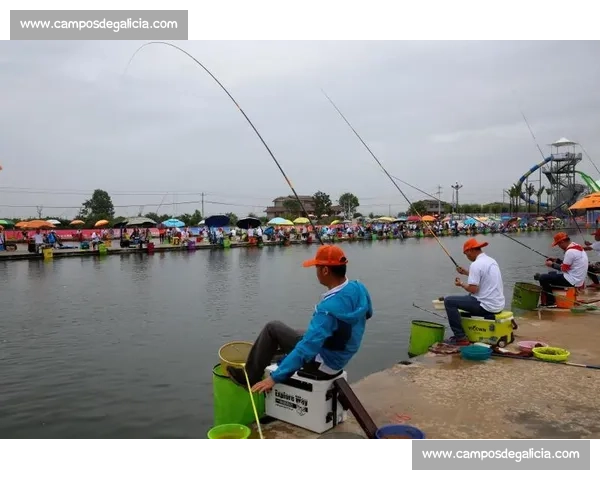 包头精彩钓鱼比赛激情开幕垂钓高手齐聚比拼技艺 包头精彩钓鱼比赛激情开幕垂钓高手齐聚比拼技艺