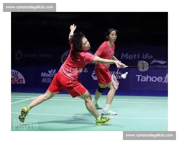 双人对抗竞技挑战赛 战术配合与反应速度的终极比拼 双人对抗竞技挑战赛 战术配合与反应速度的终极比拼