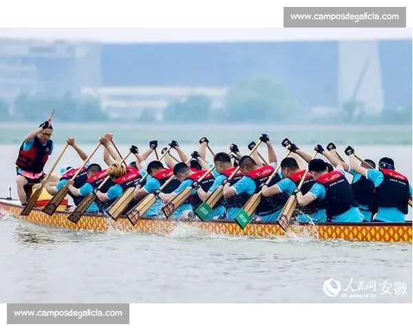 合肥龙舟比赛时间安排及赛事亮点一览