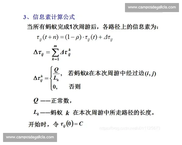 基于比赛源码的开发与优化探讨：提升竞赛算法效率与稳定性的实践心得