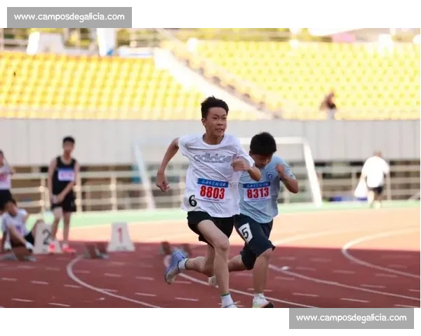 奥运会800米赛场精彩瞬间选手冲刺拼搏全记录