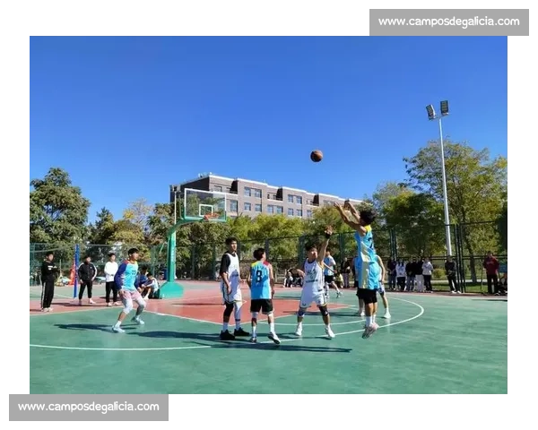 大学篮球比赛策划方案：激发校园体育热情促进团队合作与校际交流