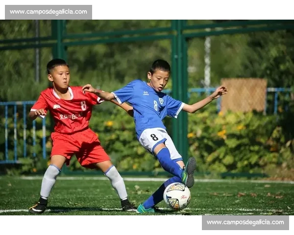 姜国钧挑战武林风赛场巅峰展现无敌拳力 全力拼搏再创辉煌 姜国钧挑战武林风赛场巅峰展现无敌拳力 全力拼搏再创辉煌