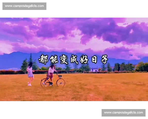 好日子比赛：让我们一起创造属于自己的美好时光，争做生活中的最佳演绎者