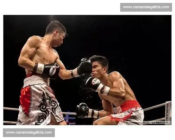 帕奎奥经典对决回顾 震撼全场的拳击传奇时刻