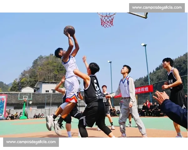 全国篮球地区赛激烈角逐精彩瞬间全景报道