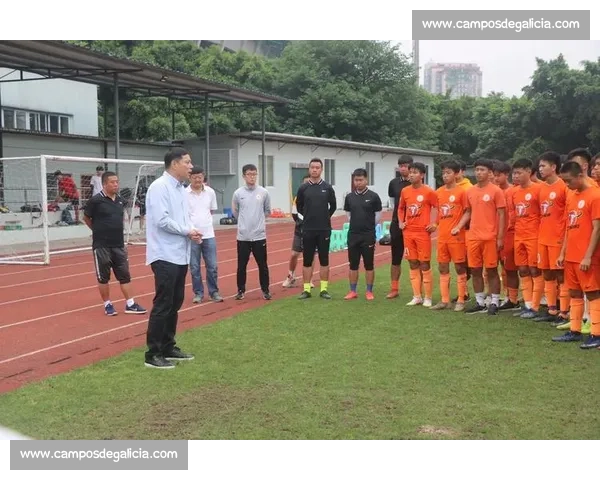 比赛前禁欲对运动员表现的影响及其背后科学原理探析